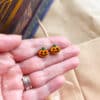 Mini Pumpkin Stud Earrings